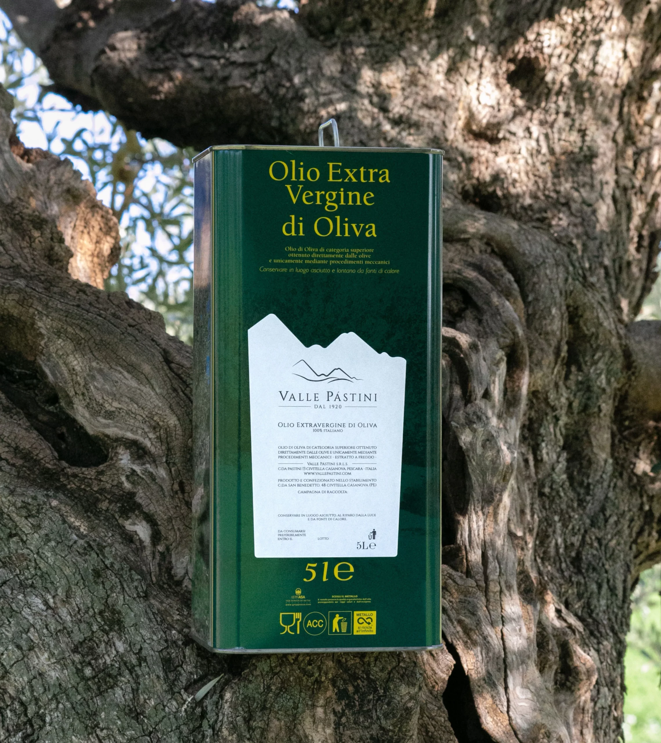 Olio extravergine di oliva  5LT